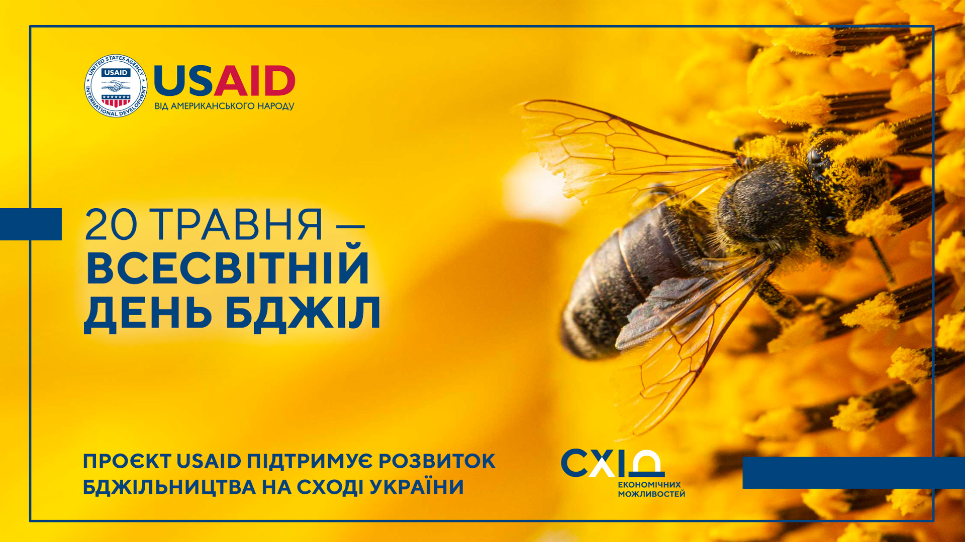 Проект USAID підтримує рзвиток бджільництва