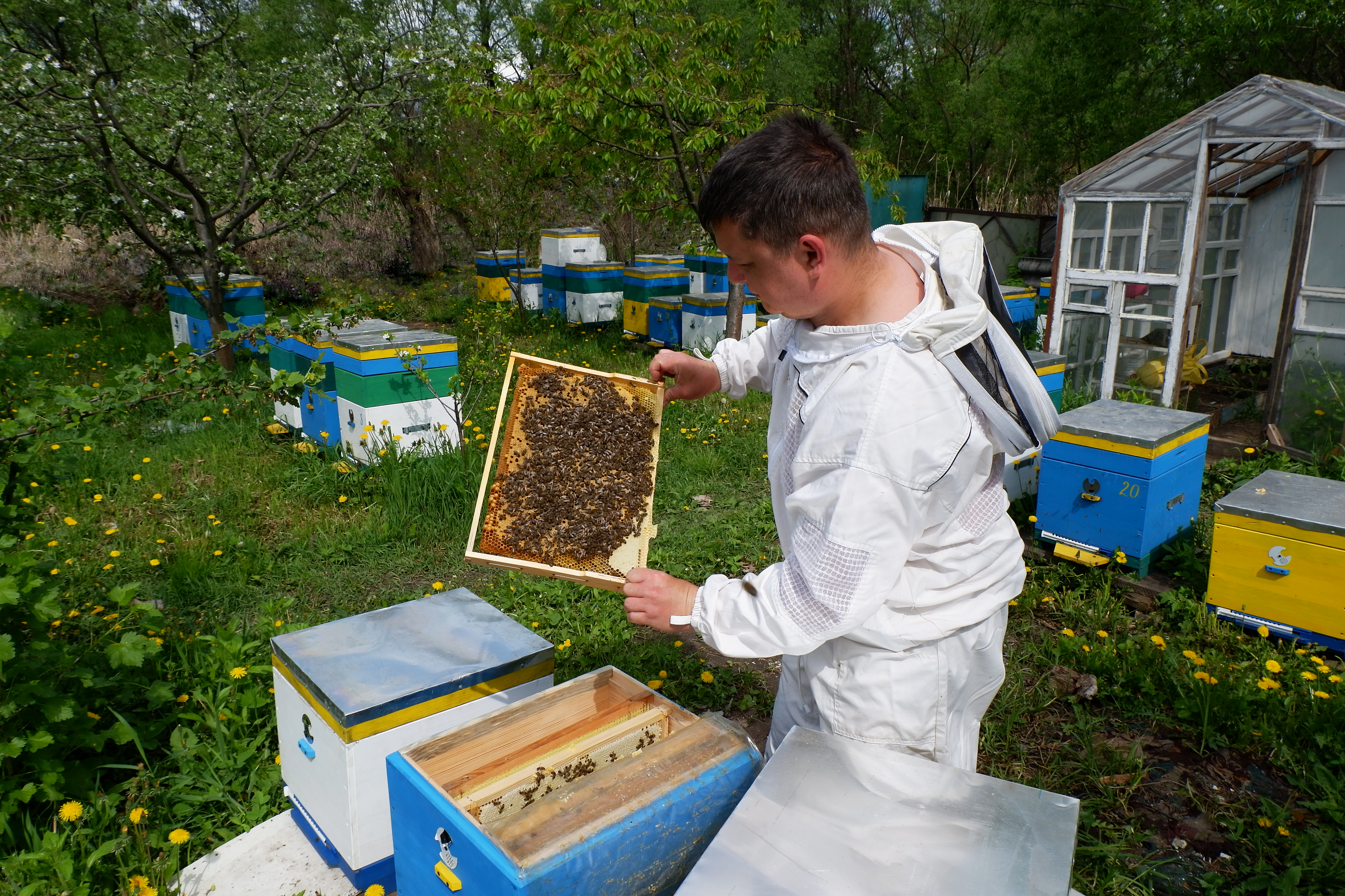 BEEKEEPER FROM KHARKIV OBLAST GETS READY TO MARKET HIS CREAMED HONEY WITH USAID ERA SUPPORT