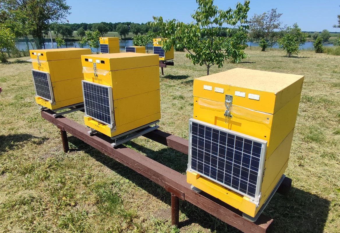 Tech-centered apiary opens in in Kyiv Oblast