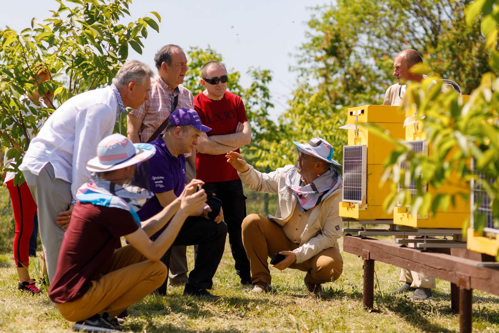 SMART beehives from Ukraine will be installed at research apiaries in several countries